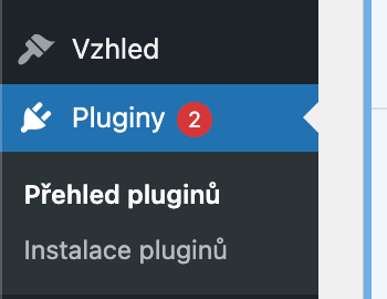 Aktualizace WordPress pluginů