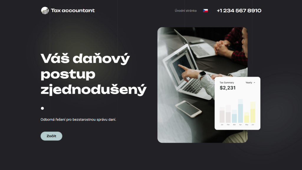 Šablona Tax Accountant