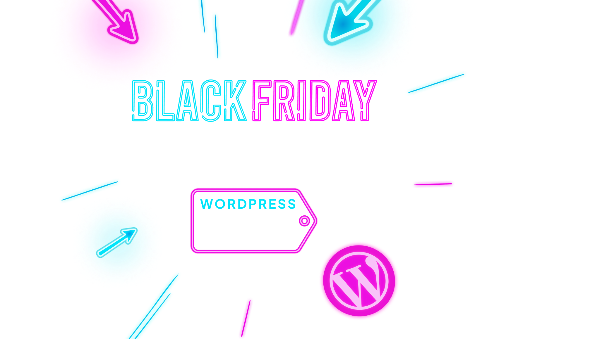 Poslední šance Black Friday WordPress až se 70% slevou